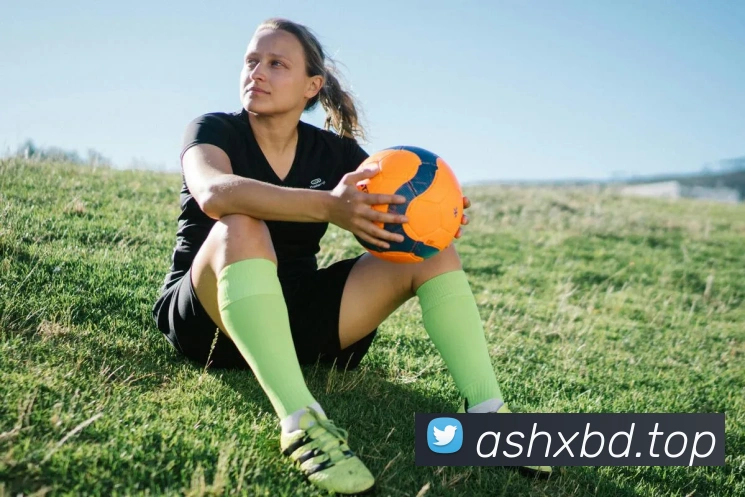 互搏体育登录入口发展历程